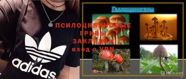 спиды Балахна