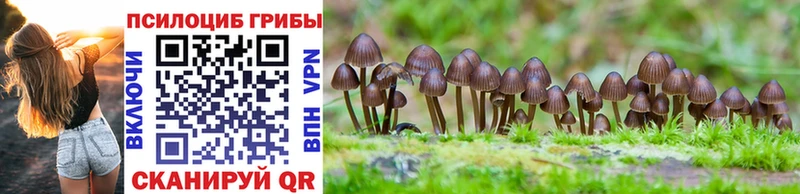 Купить где  Нарьян-Мар  Псилоцибиновые грибы прущие грибы 